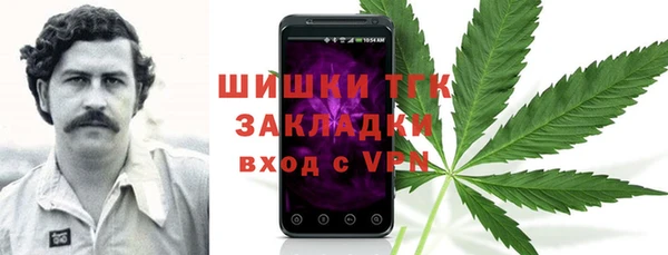гидропоника Горняк